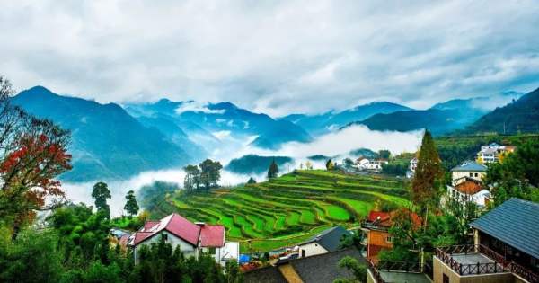 1578896164329016.png image.png