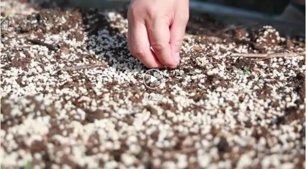 1730710327661881.png 16.png